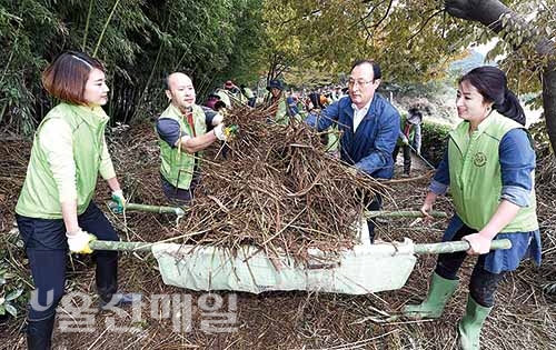 태화강 십리대숲 재해복구작업