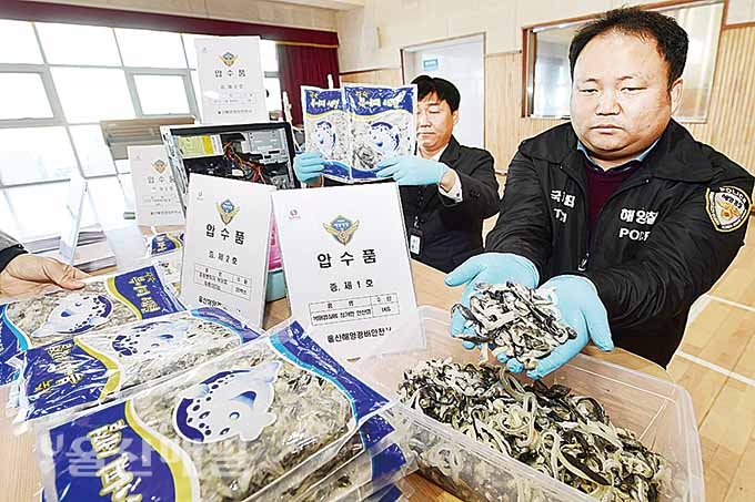 중국산 복어껍질 물코팅 무게 늘려 유통