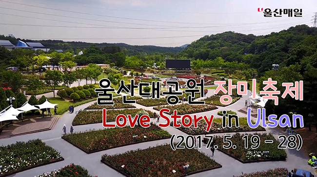[영상뉴스] 제11회 울산대공원 장미축제