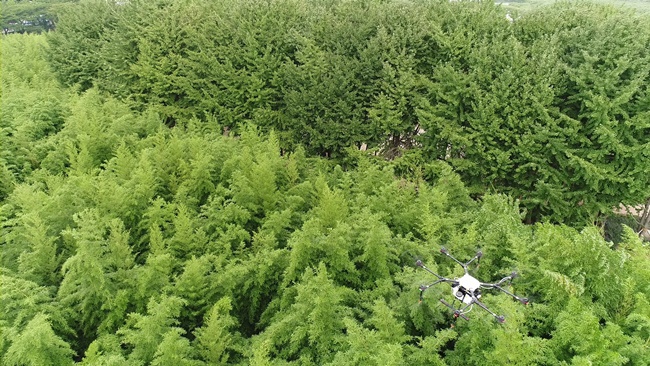 AI 없는 청정울산 드론까지 나섰다