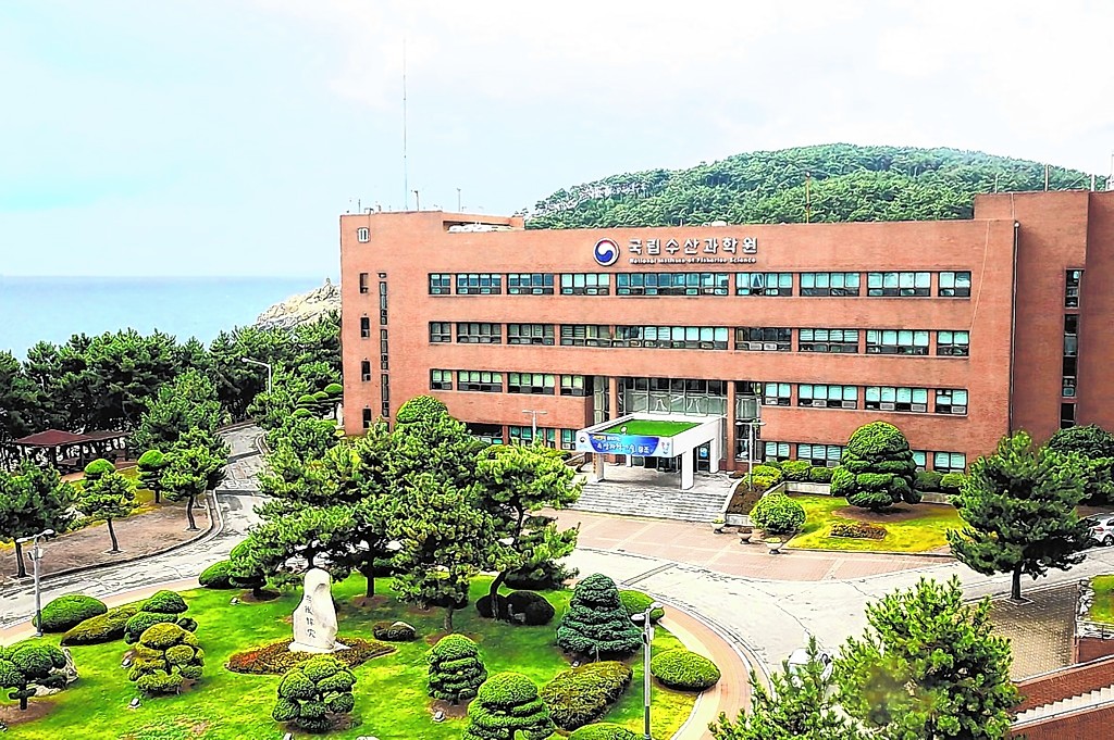 수산과학원, 첨단육종기술로 13개 김 종자 개발 성공