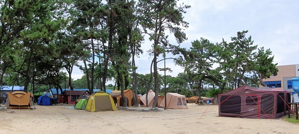 울산 동구 주전가족휴양지 장박 캠핑족 기승