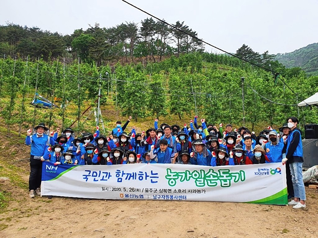 삼산119안전센터 여성의용소방대, 코로나19 극복 위한 농가 일손 돕기