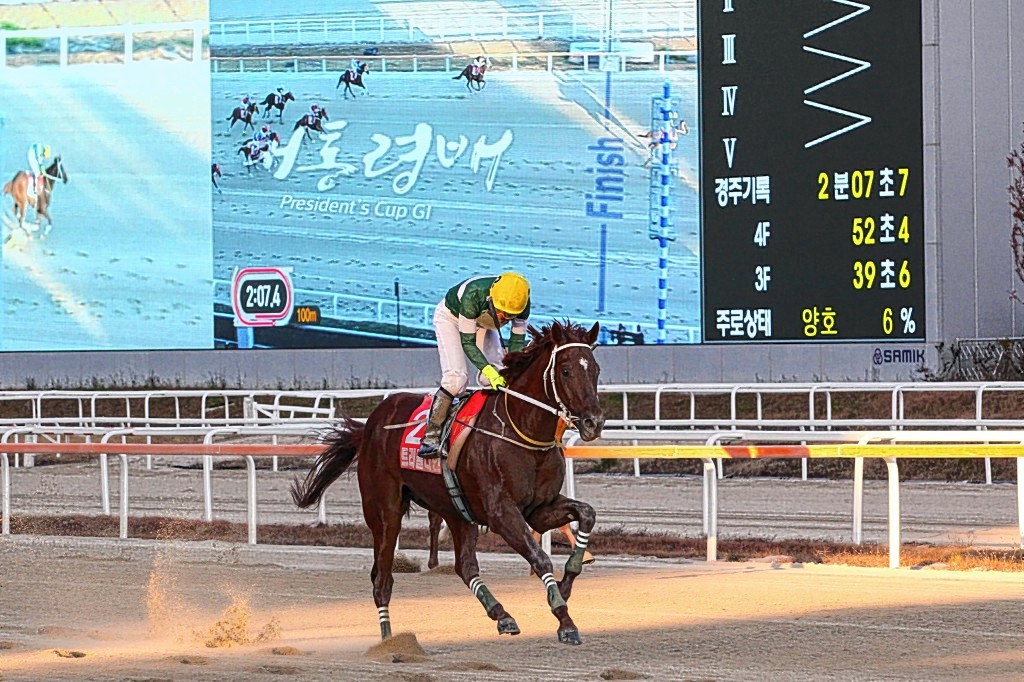 부경경마공원 최고의 경주마 트리플나인 경주로 떠난다