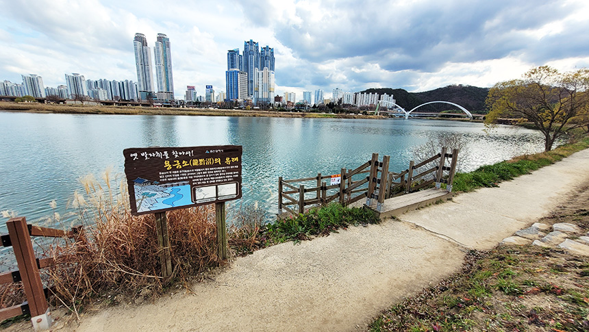 울산 대표 랜드마크 태화강국가정원 악취 시민들 눈살