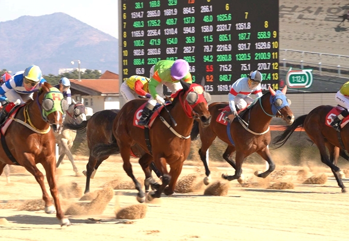 라온더포인트, 부산일보배 대상경주 우승