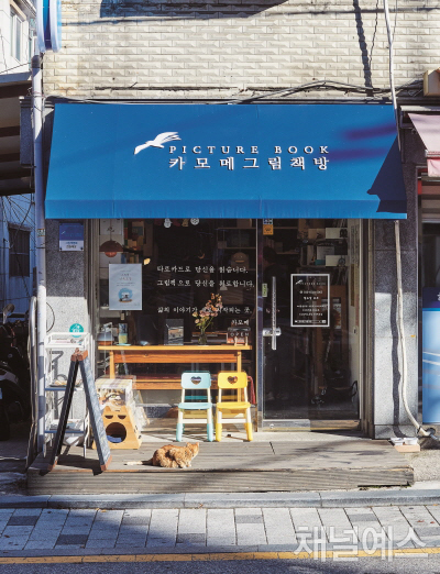 [특집] 지극히 사적인 그림책 처방 체험기
