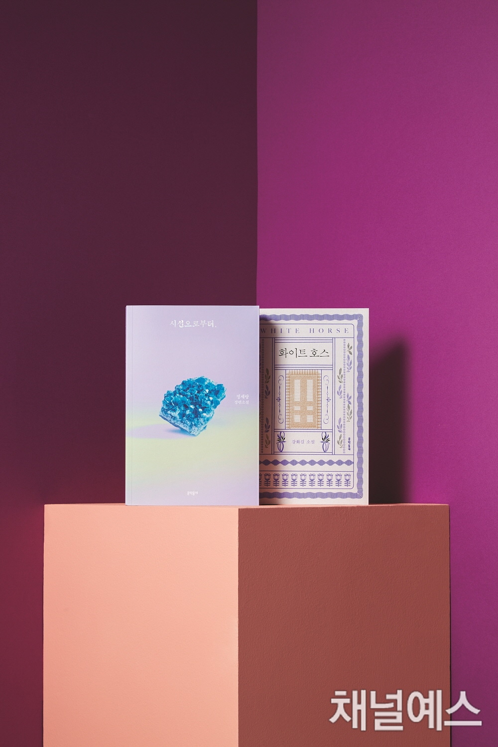 [올해의 소설] 가부장제의 전복, 혹은 잔혹성 - 정세랑 『시선으로부터,』