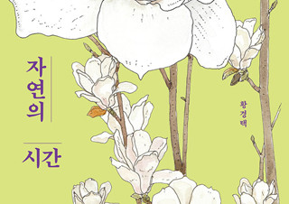 [자연의 시간] 그리면서 찾아낸 우리 자연 속 명장면