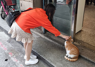 조니워커 “이 계절, 다시 사랑할 용기를”