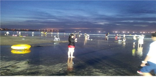 제주시 밤바다, 사람들로 북적북적