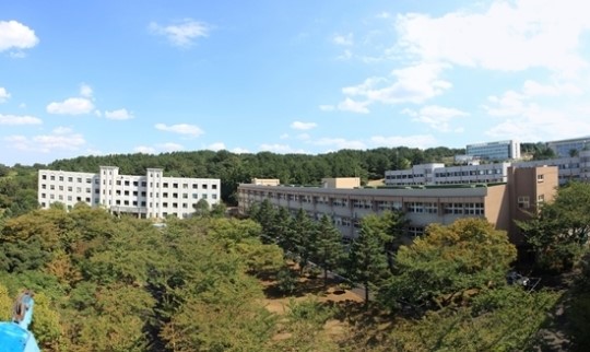 제주대학교 취업률 국립대 몇 위?
