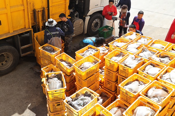 제주 태풍피해 잠정집계만 252억