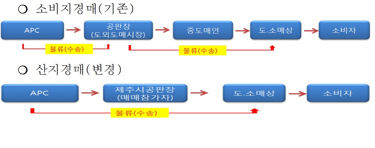 감귤 첫 산지경매, 출발 산뜻