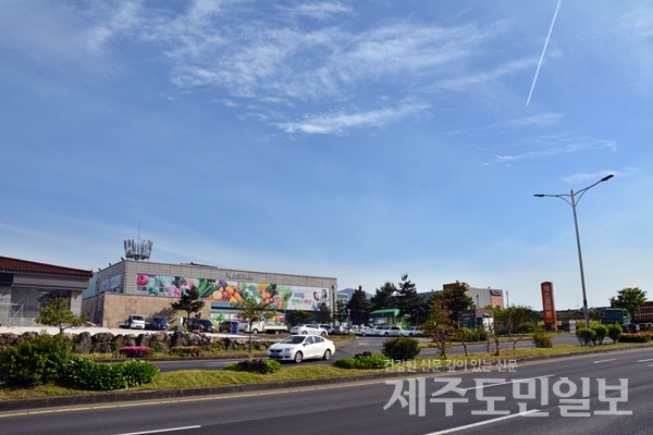 제주 토종마트, 특성화로 승부수