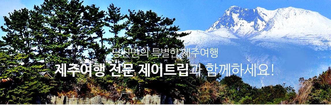 제주 제이트립 여행사 사드여파 난항