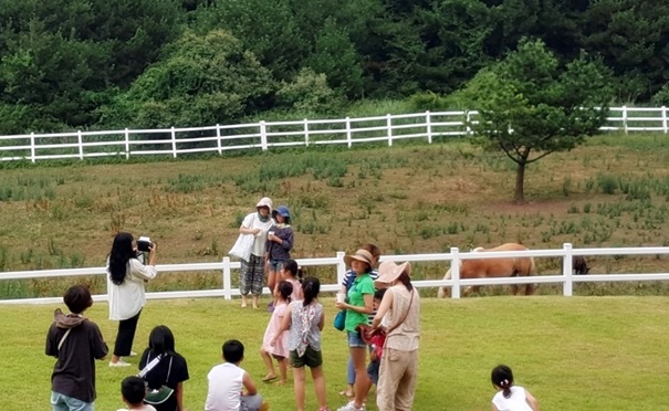 제주, 마(馬)랑 힐링투어 프로그램 오픈