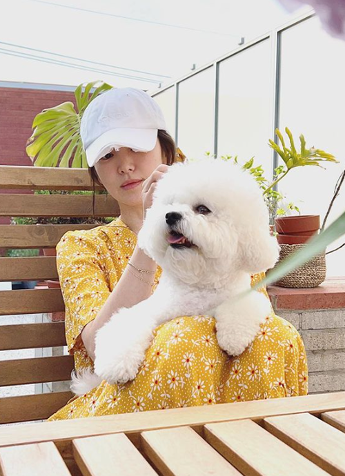송혜교, 햇살 아래 반려견과 행복한 시간