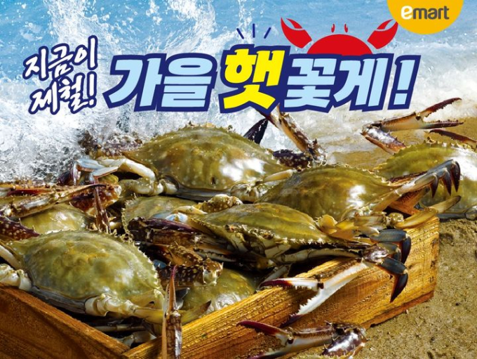 대형마트 휴무일, 이마트‧롯데마트‧홈플러스‧코스트코 ‘꽃게할인