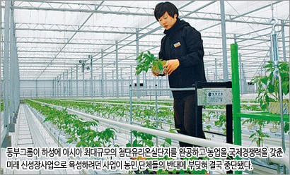 [골목상권 ‘떼법’ 무한] 동부, 유리온실 철수