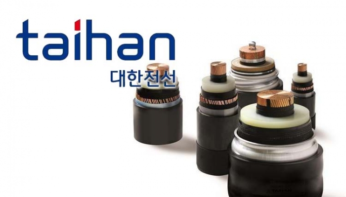 사모펀드 그림자, 中 매각 앞둔 대한전선 기술유출 논란
