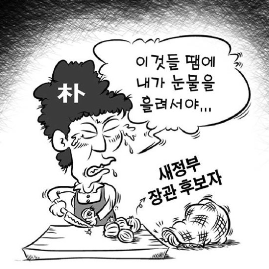 새정부