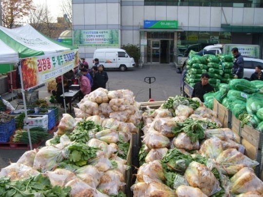김장재료 공급저렴하게
