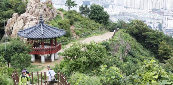 인천 청량산서 배터리 1t 발견…청량산 훼손하려?