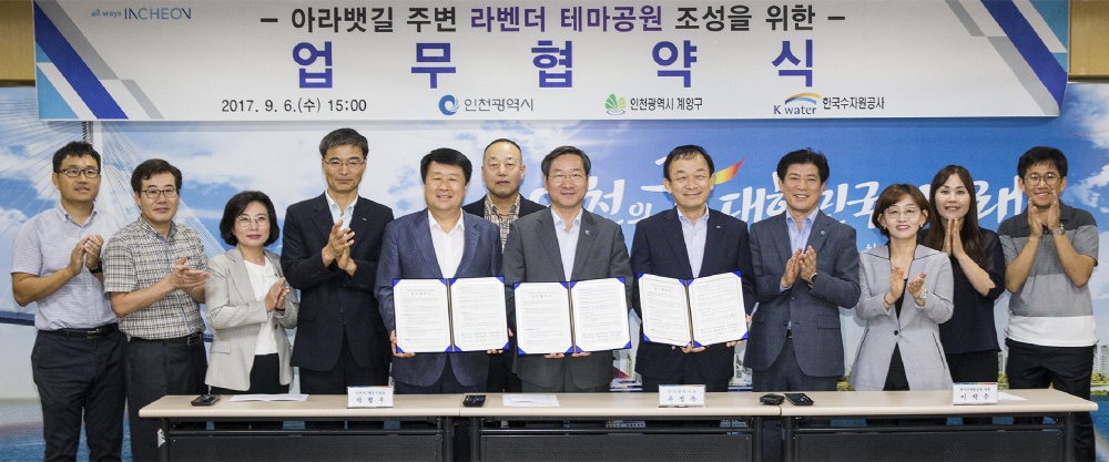 아라뱃길 6만평 라벤더 향 물든다