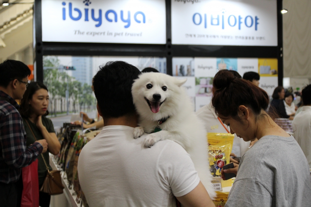 펫, 또 하나의 가족 … 경제 움직이는 복덩이로