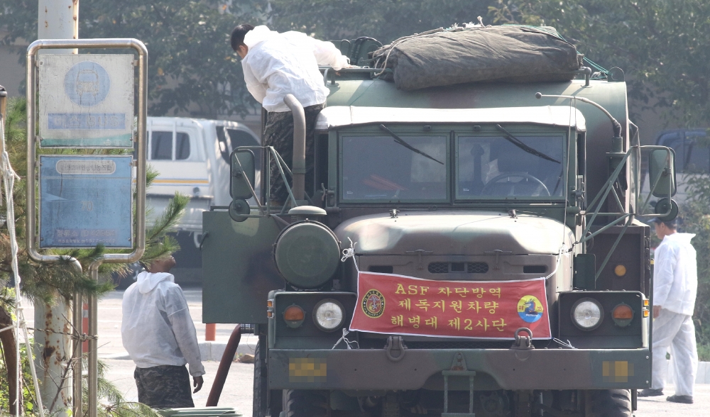 태풍에 날아가고 돼지로 매몰된 농부의 꿈