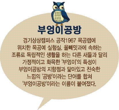 [Its 그루버 문화연구소 ①부엉이공방] 1시간만에 가구 뚝딱 … 쏠쏠한 취미로 딱이네