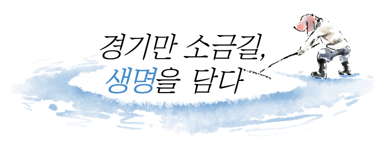 [경기만 소금길, 생명을 담다] ⑦어디를 봐도 그림이었다…4구간 방아머리 선착장∼종현어촌체험마을