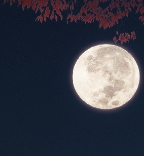 수원문화재단, 달빛 아래 그린 예술적 언어