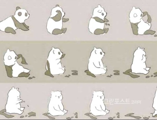 자려면 아이라인 지우고&#12539;&#12539;&#12539;팬더의 정체