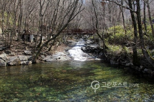 바람·계곡 가득한 운문산자연휴양림으로 오세요