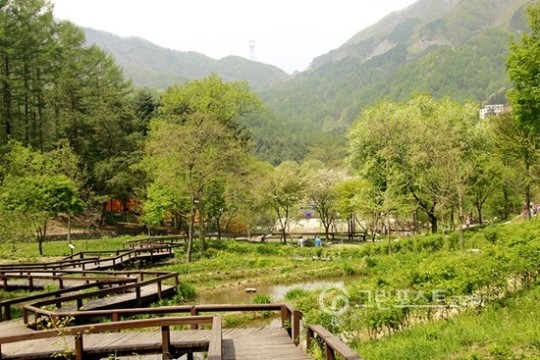 유명산자연휴양림, 6월의 추천 휴양림으로 선정돼