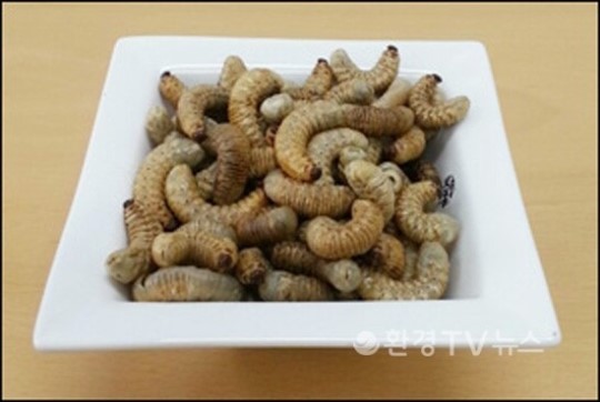 식약처가 승인한 식용곤충, 정말 안전한가
