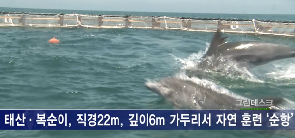 <그린데스크>“많이 먹어”…태산·복순이, 자연 적응 순항