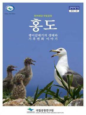 괭이 갈매기..먹이찾아 서울-홍천 거리 날아가