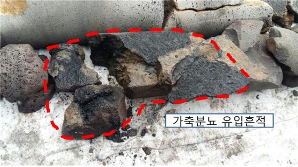 제주, 축산폐수 무단투기로 지하수오염 악화