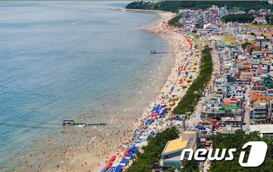 보령시, 대천해수욕장 민간관리제 도입