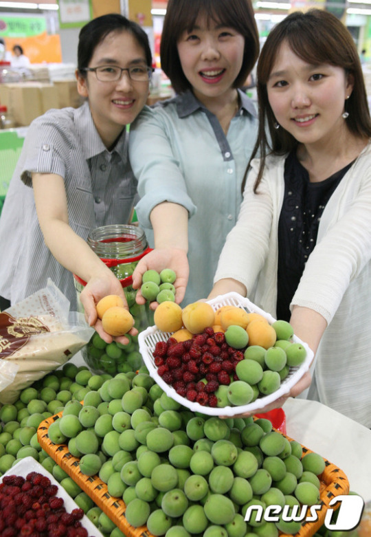 농협유통, 제철과일로 저렴하게 과실주 담그세요