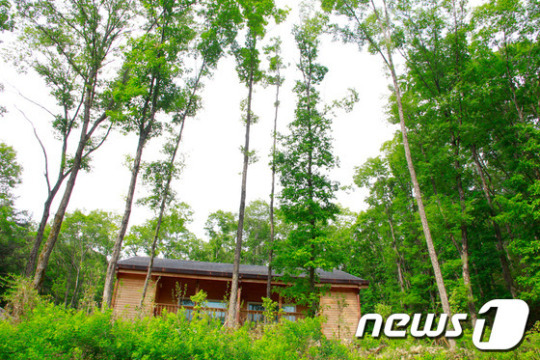 국립 대야산자연휴양림, 7월의 추천 자연휴양림 선정