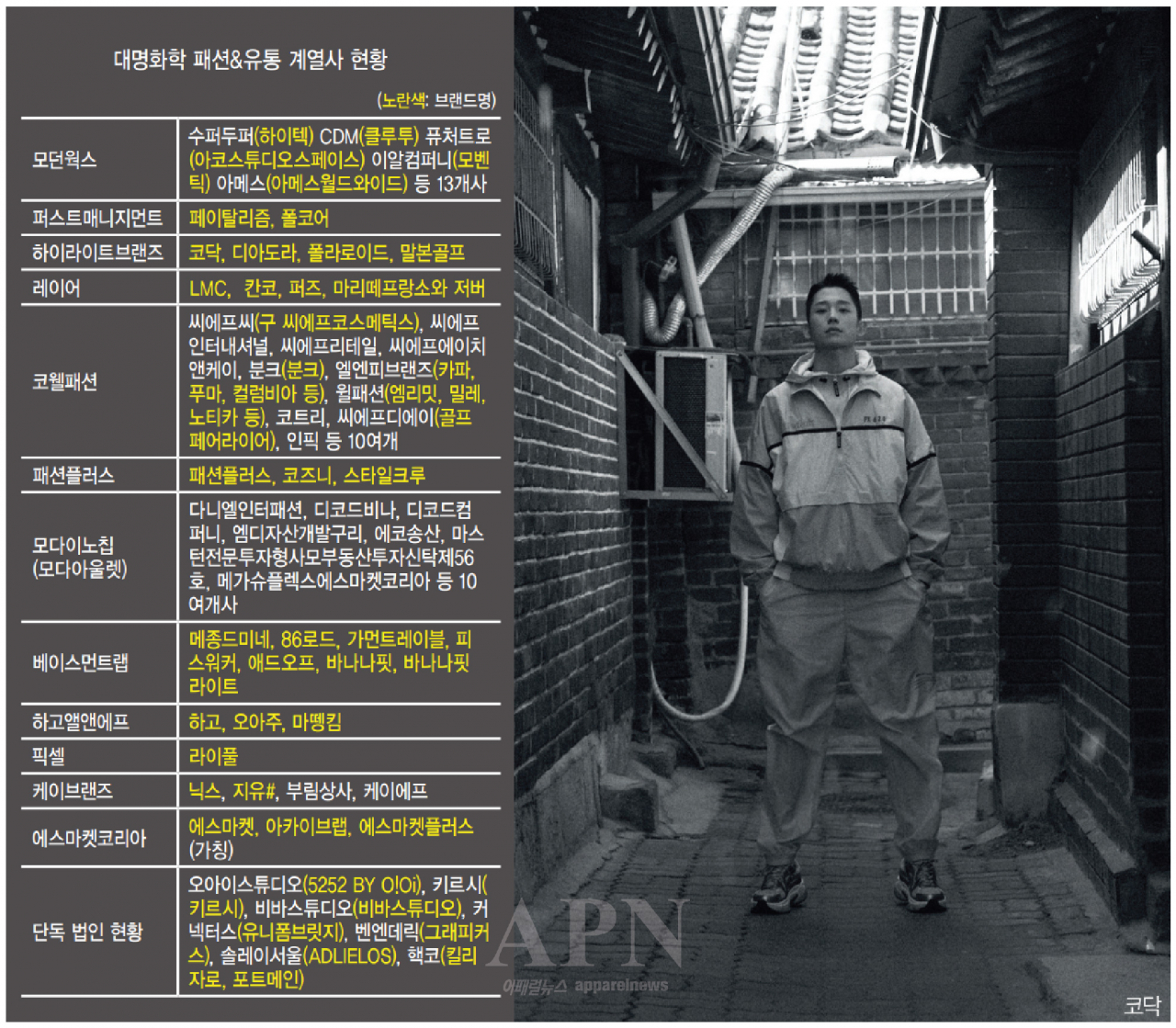 대명화학 빅픽쳐, 브랜드 확장 가속