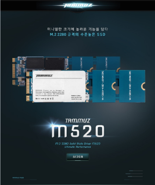 라온티앤아이, MLC 기반 SSD 타무즈 M520 M.2 2280 출시