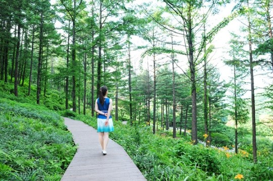 숲길 걸으며 힐링해요∼