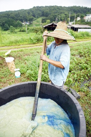한국천연쪽협동조합