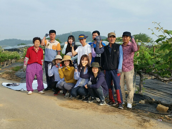 송산농업협동조합 임직원, 농가 방문 일손돕기 땀 송글