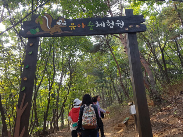 남양주 화도읍 유아숲체험원 놀러가볼까